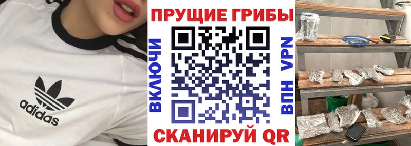 купить закладку  Сочи  Псилоцибиновые грибы Cubensis 